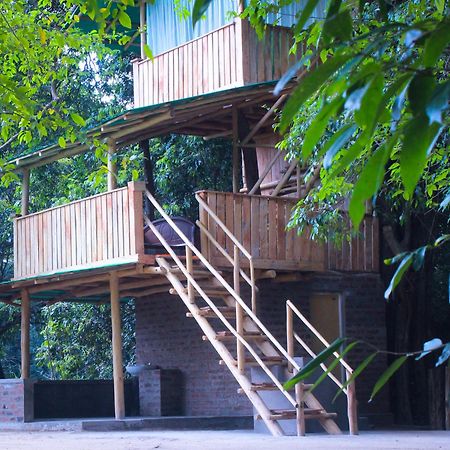 Forest Tree Top Holiday Resort Buttala Exteriör bild