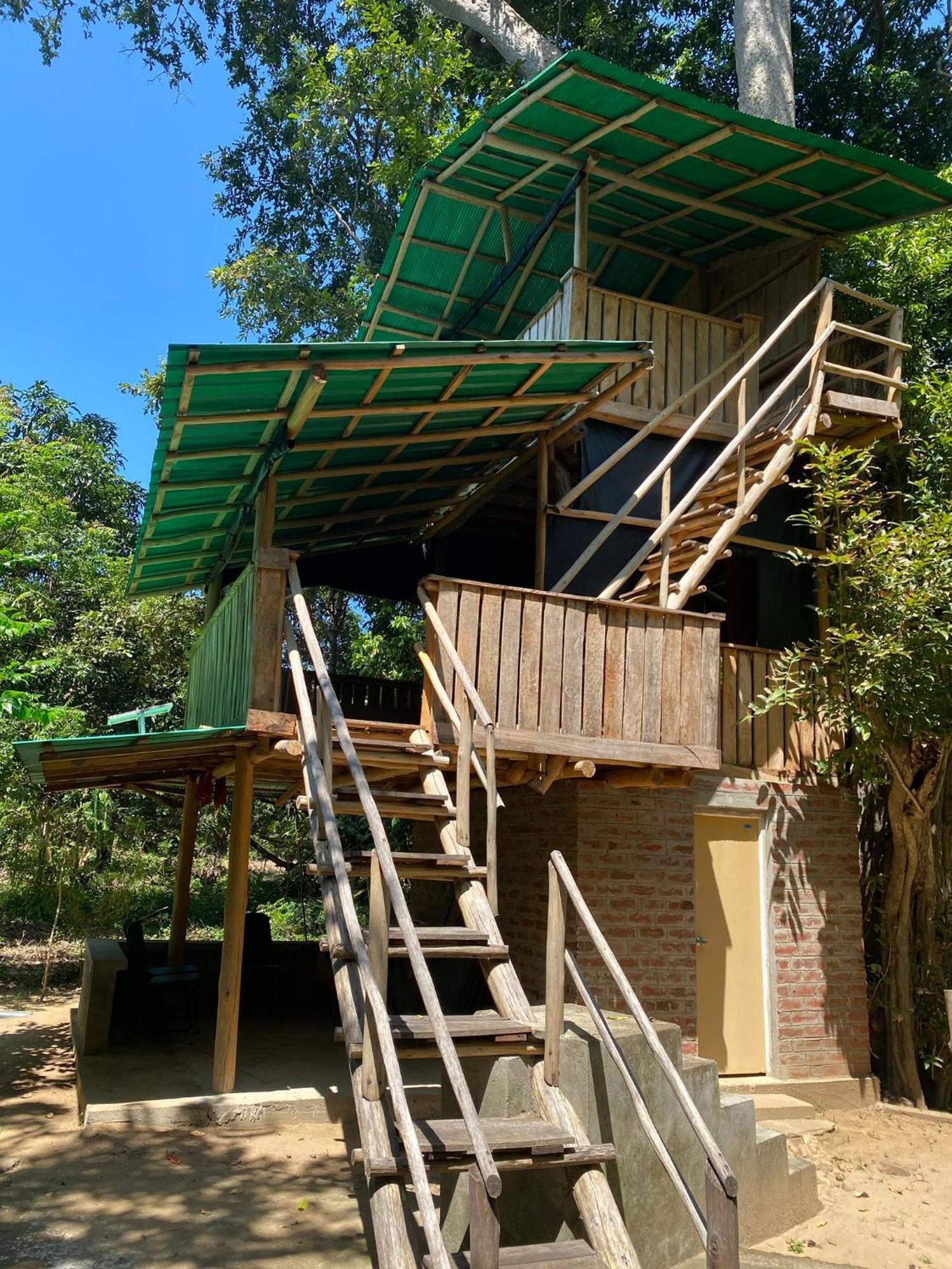 Forest Tree Top Holiday Resort Buttala Exteriör bild